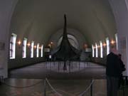 Viking gemisi.